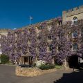 The Castle Hotel