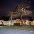 The Cedars Hotel