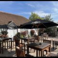 The Cherry Tree
