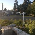 The Cottages at Birch Bay
