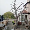 The Crown Hotel