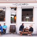 The Cuckoo N1