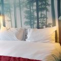 The Cygne Hotel