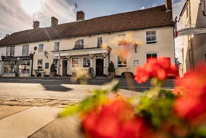 The Dog & Bear Hotel in Maidstone, United Kingdom