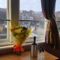 The Dolphin Hotel
