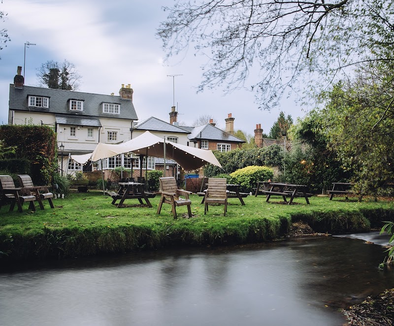 The Drummond at Albury in Guildford, United Kingdom