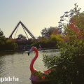 The Flamingo