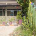 The Green Home Resort