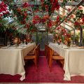 The Green House