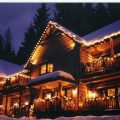 The Hidden Moose Lodge