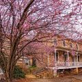 The Inn at Birch Wilds