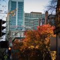 The Lenox Hotel