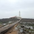 The Lighthouse Guesthouse