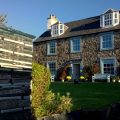 The Lime Tree An Ealdhain