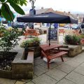The Linden Tree