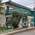 The Lodge Motel