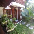 The Lotus Garden