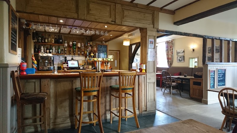 The Oak at Dewlish in Dorchester, United Kingdom