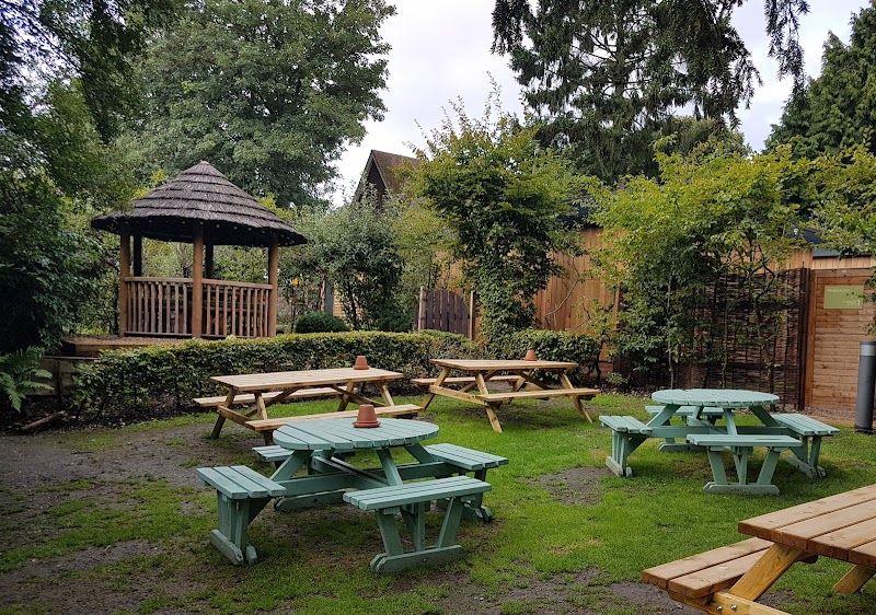 The Old Drum in Petersfield, United Kingdom
