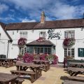 The Old Lion