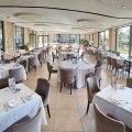 The Olive Tree & Co