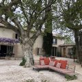 The Orchard Inn