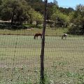 The Painted Horse B and B