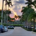 The Palm Beach Towers