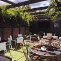 The Pear Tree