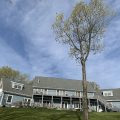 The Pearl of Seneca Lake