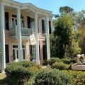 The Pink Dolphin Inn