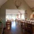 The Ragged Cot