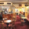 The Red Cat Hotel