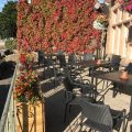 The Red Lion Matlock