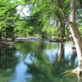 The River Bluff Cabins
