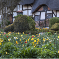 The Salamander Guest House