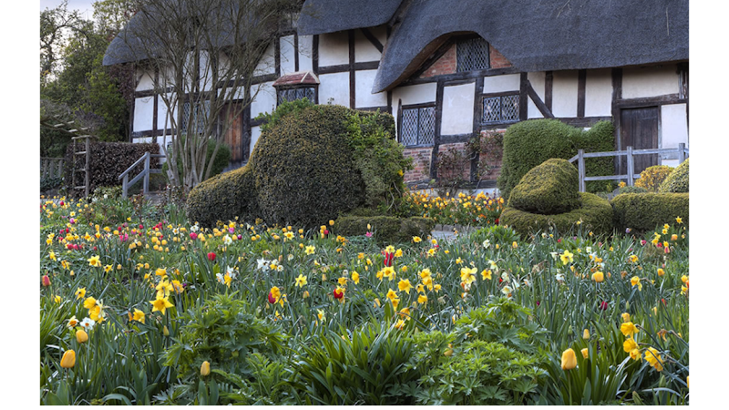 The Salamander Guest House in Stratford-upon-Avon, United Kingdom