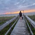The Salty Hammocks