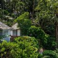 The Surin Phuket
