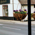 The Swan at Stoford