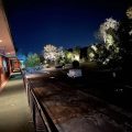 The Tides Motor Inn