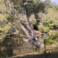 The Villas at Coosawattee River Resort