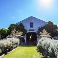 The Vineyard Mudgee