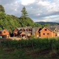 The Vineyard View Inn