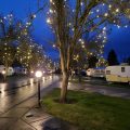 The Vintages Trailer Resort