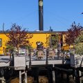 The Yellow Ferry