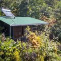 Tiskita Jungle Lodge