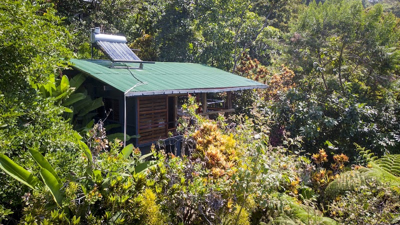 Tiskita Jungle Lodge in Puerto Jimenez, Costa Rica
