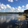 Torquay Holiday Park