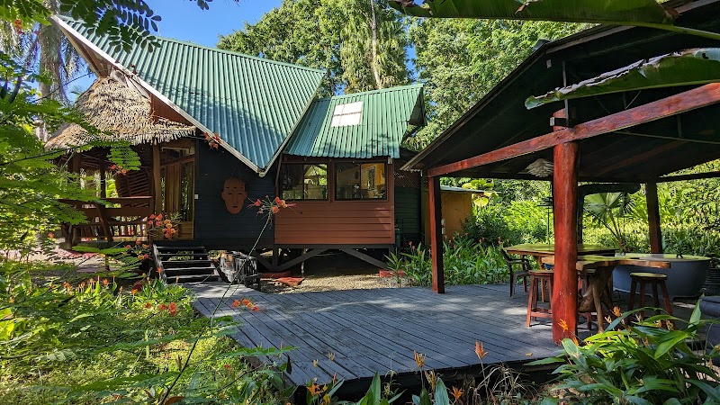 Tree House Lodge in Puerto Viejo, Costa Rica
